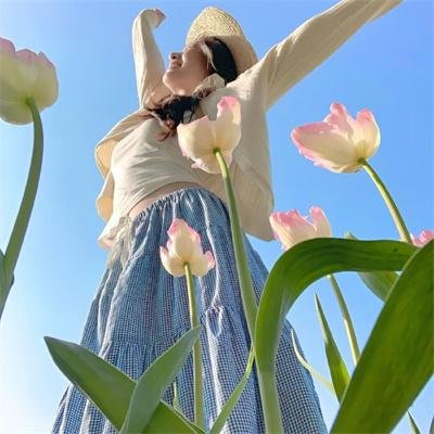 芙蓉帐暖渡春宵